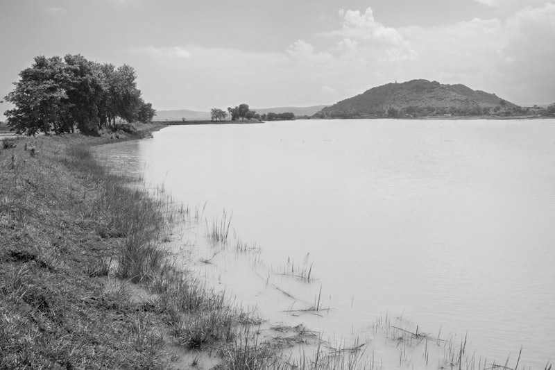 A view of Patesar Ahar in Kaimur district, Bihar, showing one of its side embankments